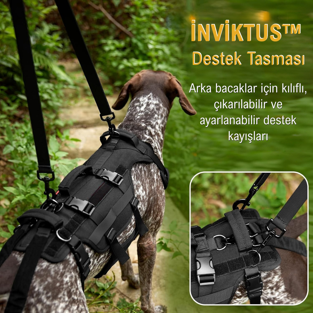 İNVİKTUS™  Köpek Destek Tasması – Dengeli ve Konforlu