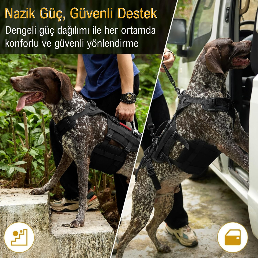 İNVİKTUS™  Köpek Destek Tasması – Dengeli ve Konforlu