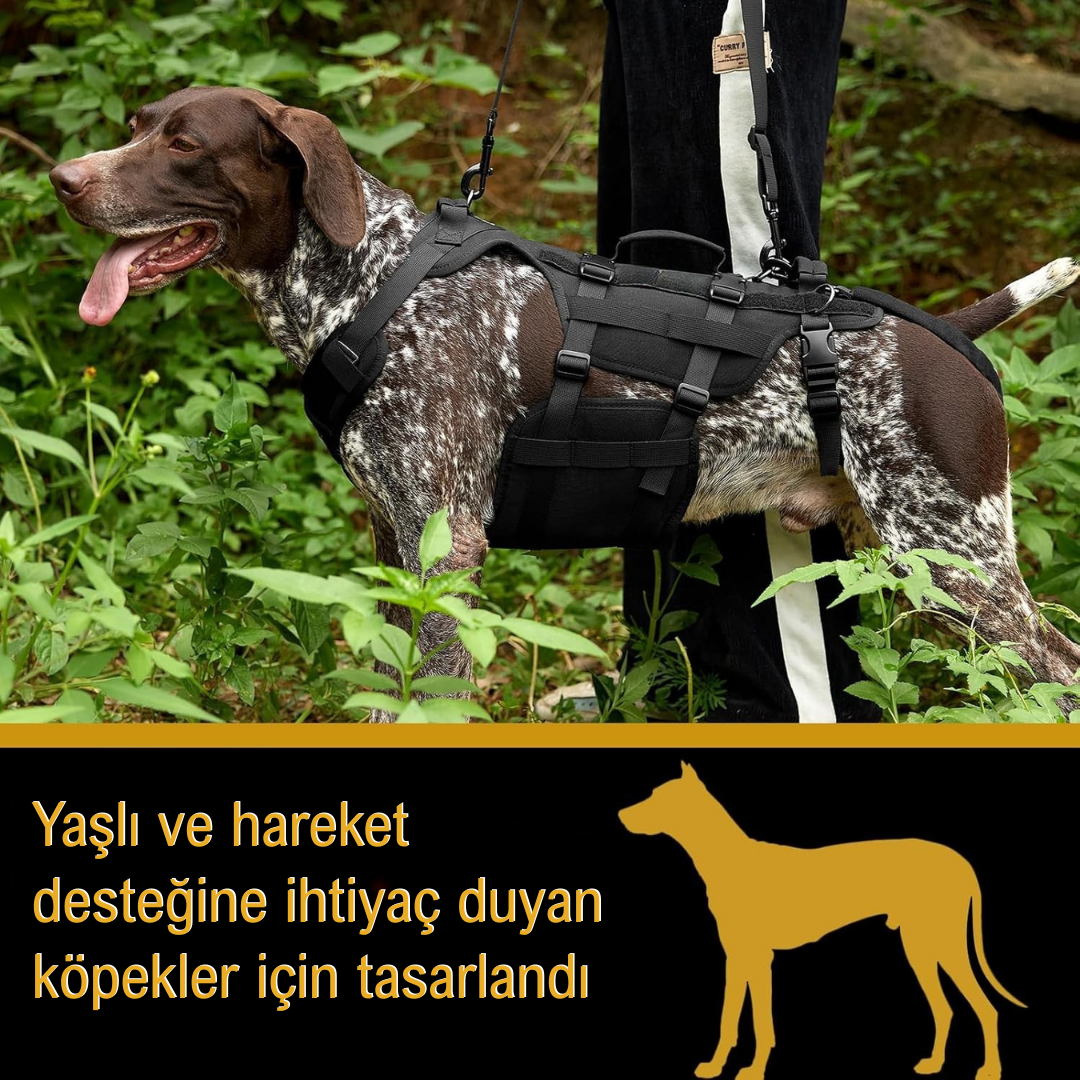 İNVİKTUS™  Köpek Destek Tasması – Dengeli ve Konforlu