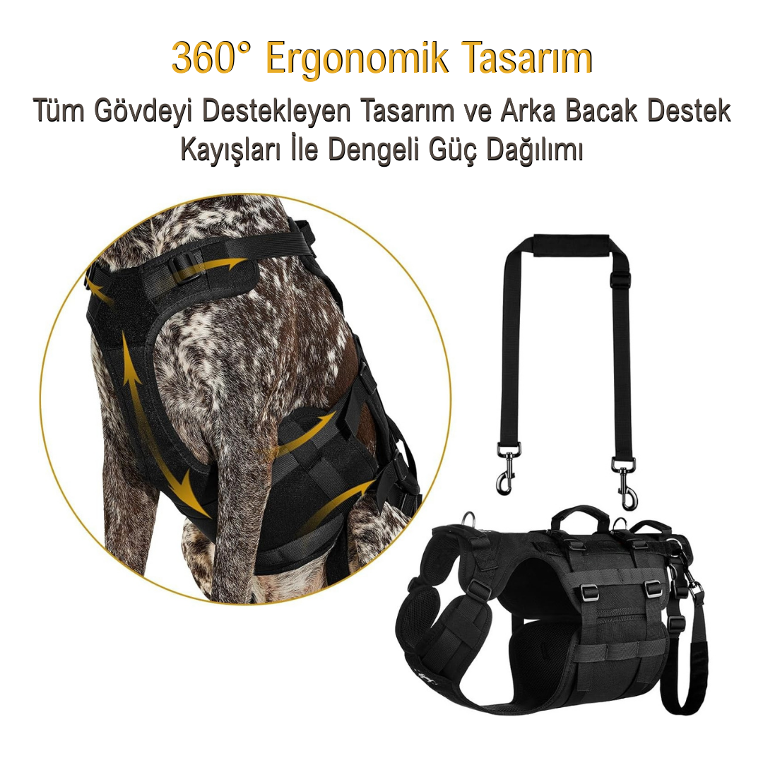 İNVİKTUS™  Köpek Destek Tasması – Dengeli ve Konforlu