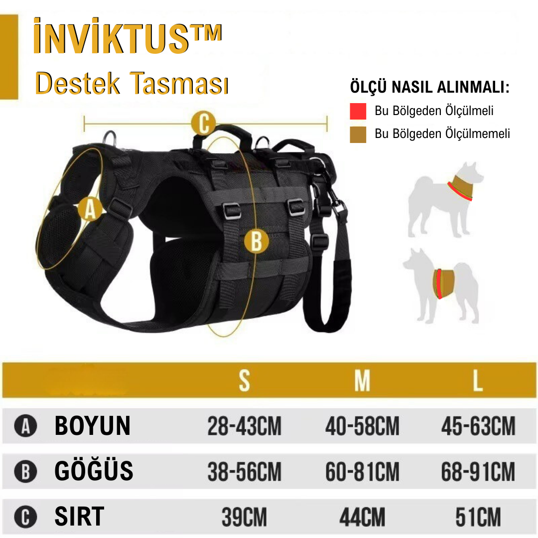 İNVİKTUS™  Köpek Destek Tasması – Dengeli ve Konforlu